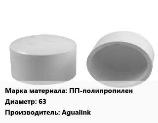 Заглушка полипропилен, полиэтилен, металлопластик ПП-полипропилен D=63 Agualink